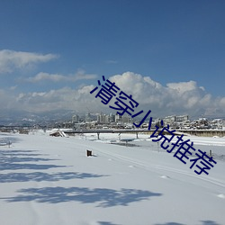 清穿小說推薦