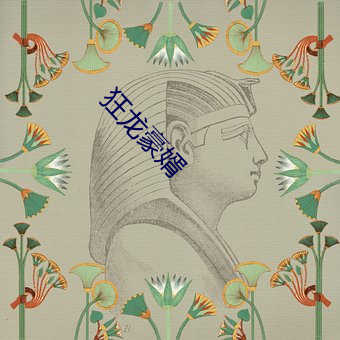 狂(kuáng)龙豪婿