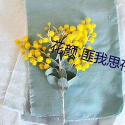 花顔 匪我思存