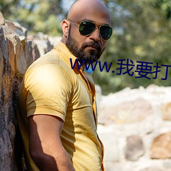 www.我要打飞(fēi)机