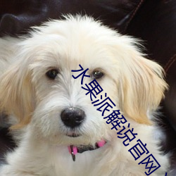 水果派解說官網入口
