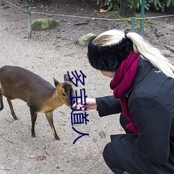 多宝(寶)道(道)人