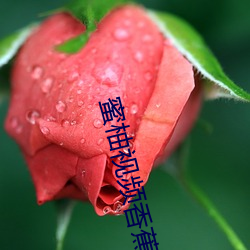 蜜柚视频香蕉