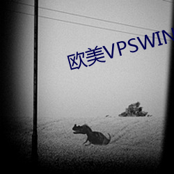 歐美VPSWINDOWS