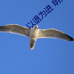 以退爲進 明月