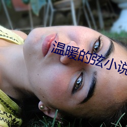 温暖的(的)弦小说