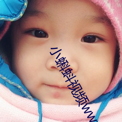 小蝌蚪視頻www在線官網下載