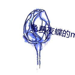 免費夜蝶的mv