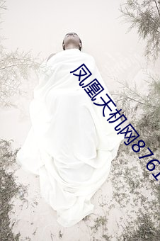 凤凰天机网876161