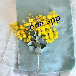 one app