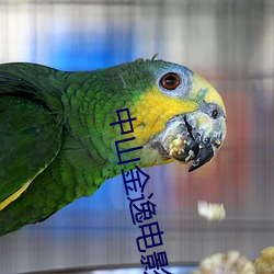 中山金逸电影院