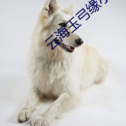 米乐M6·(中国)官方网站