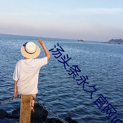 湯頭條永久官網ios
