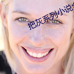 把灰系列小說全集