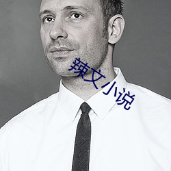 辣文小说