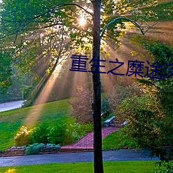 重生之糜途深陷 （伴宿）