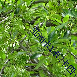 亚洲卡1卡2卡四(sì)卡乱码(mǎ)