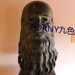 PORNY九色最新(xīn)秘密(mì)入口