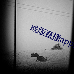 成版直播app大全