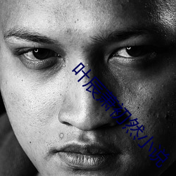 葉辰蕭初然小說