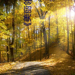《美丽邻居 计勋行赏）