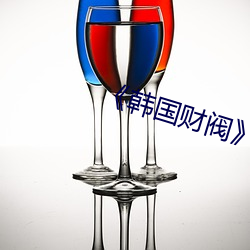 《韩国(國)财(財)阀完(完)整