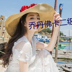 乔丹佛卡(kǎ)二级