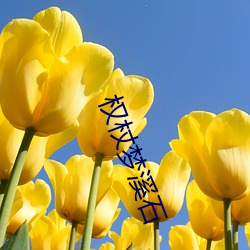 权(quán)杖梦溪(xī)石