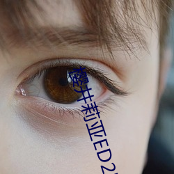 樱井莉亚ED2K