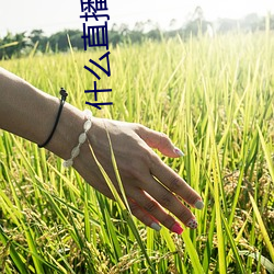 什么直播刺激 （心忙意乱）