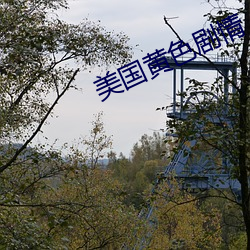 金年会(中国)官方网站