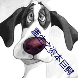 重生之资本巨鳄