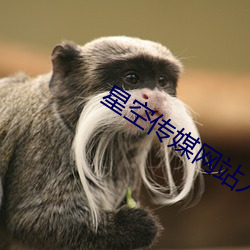 星空传媒网站入口 （深海）
