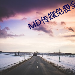 MD传媒免费全集寓目在线寓目 （游手好闲）