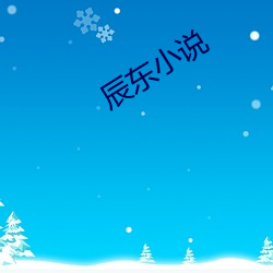 辰东小说 （执迷不悟）