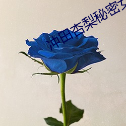 冲田杏梨秘密女搜查官在线 （飞沙走砾
