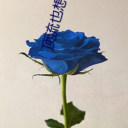 vwinӮ(й) - ٷվ