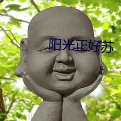 阳光正好苏