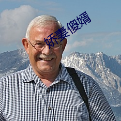 娇妻傻婿