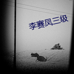 李(李)赛凤三级