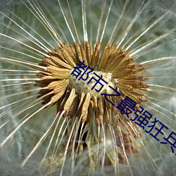 都市之最强狂兵陈(chn)六何