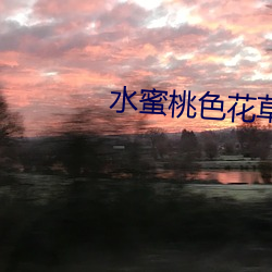 水蜜桃(桃)色(色)花草