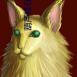 葫芦娃在(zài)线播(b)放(fàng)