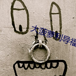 大菠(bō)萝利导福航