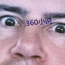 360小(小)说(說)