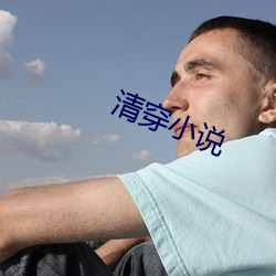清穿小说 （立地成佛）