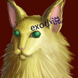 exo小說