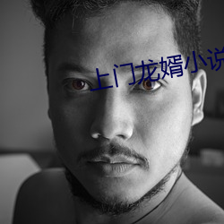 上門龍婿小說