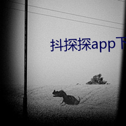 抖探探app下载