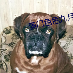 九游会登录j9入口 - 中国官方网站 | 真人游戏第一品牌